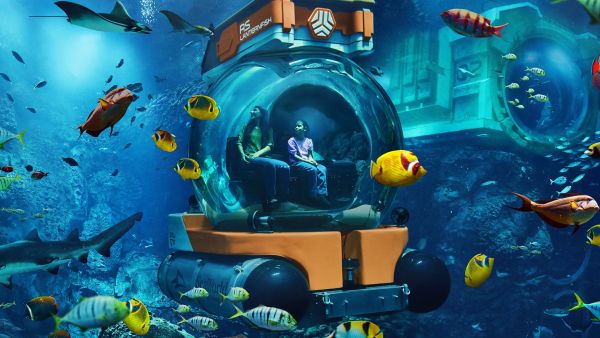 Get closer than ever: SeaWorld® Yas Island, Abu Dhabi introduces all-new SeaSub experience