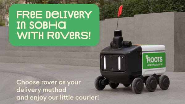 Dubai to introduce robot delivery system soon