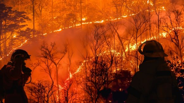 Wildfires