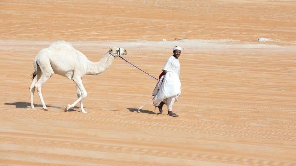 الإمارات: إعفاء رعايا السودان من غرامات تصاريح الإقامة
