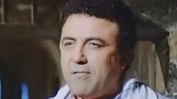 Egyptian star Emad Moharam