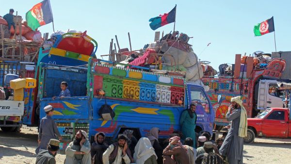 Afghans