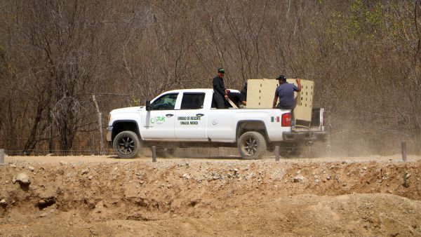 Deadly fire at Mexican drug rehab center claims 12 lives