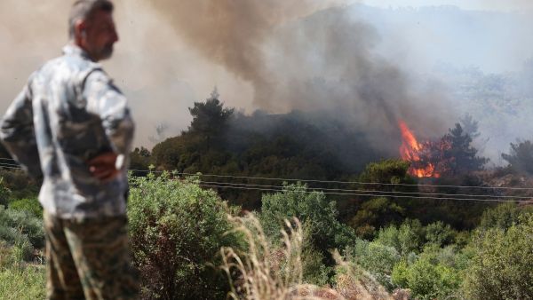 forest fire