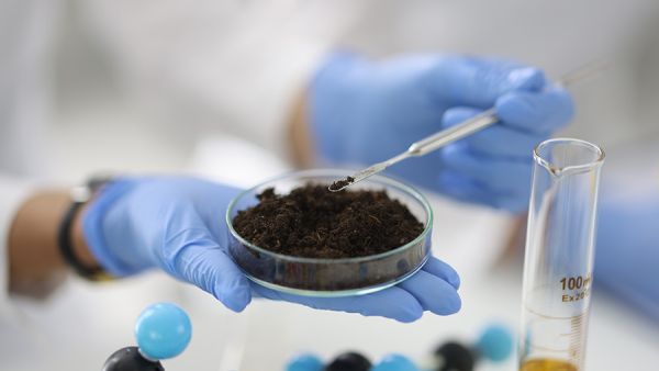 Farming the unfarmable: How microbes are reviving life in desert soils, research shows new hope for arid agriculture