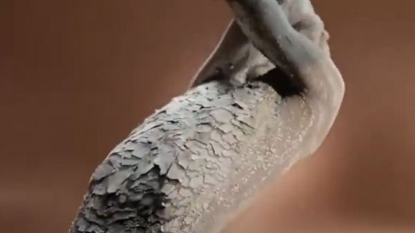 Sanex shower gel ad causes fuss in the UK