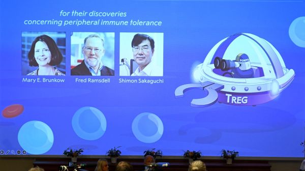 2025 Nobel Prize