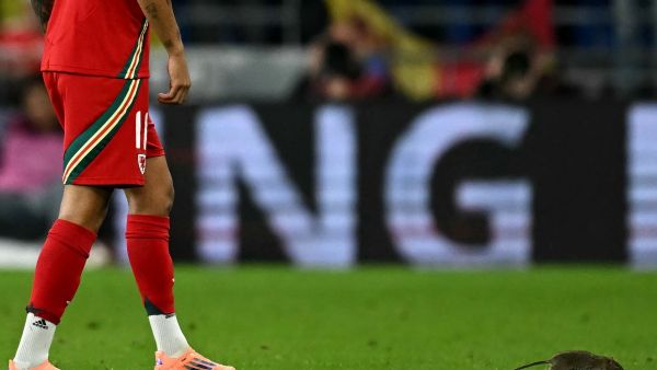 نجم ريال مدريد يفشل في الإمساك بـ"فأر" اقتحم الملعب في تصفيات كأس العالم