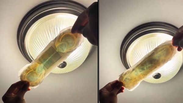 Mold and insects find inside new pads