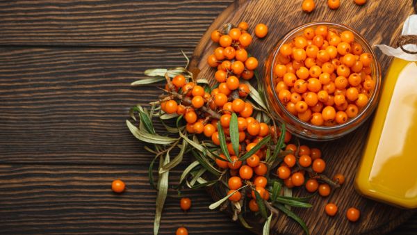 فاكهة النبق البحري