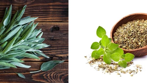 فوائد الميرمية والبردقوش للهرمونات