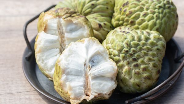 فوائد فاكهة القشطة للحامل في الشهور الأولى