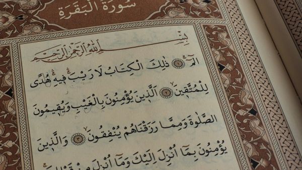 فوائد قراءة سورة البقرة يوميا للعزباء