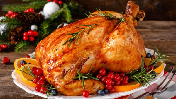 لماذا الديك الرومي في عيد الشكر؟