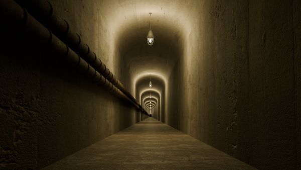 إسرائيل اعتقلت وقتلت عددا من عناصر حماس في رفح