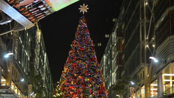 أماكن شتوية في الأردن لا بد من تجربتها في موسم الأعياد