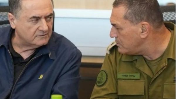 كاتس وازمير