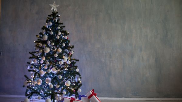 ما هي أشهر أنواع الزينة لشجرة الكريسماس؟