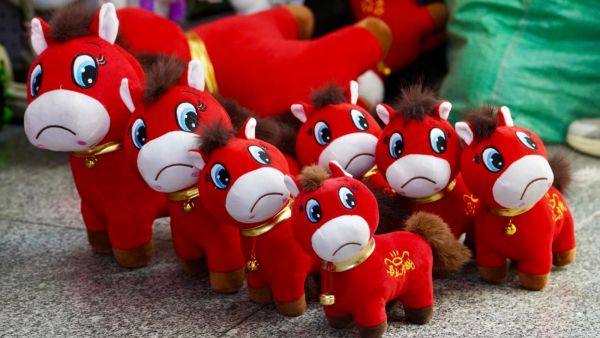 دمية "الحصان الباكي" تخطف الأنظار في الصين وتتحول إلى ترند عصري