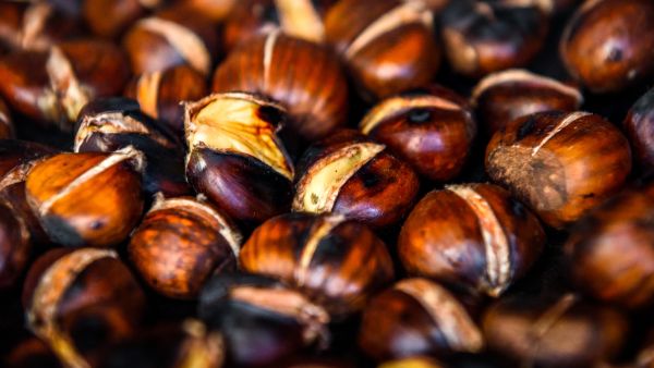 أفضل طريقة لعمل الكستنا‎ء في البيت