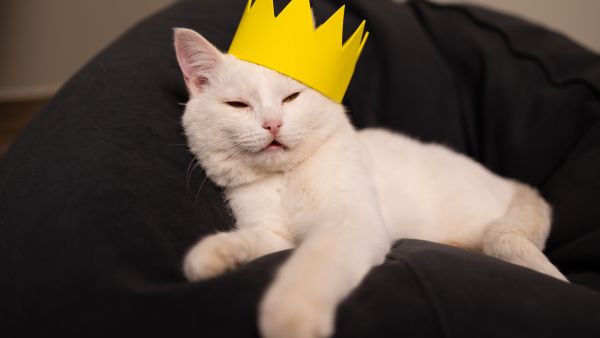 لويس فويتون