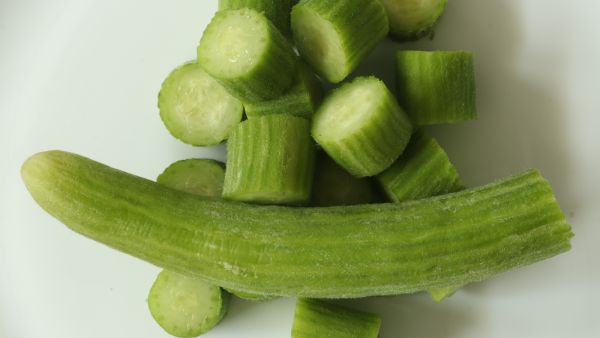 خطوات لزراعة الفقوس في الحديقة المنزلية