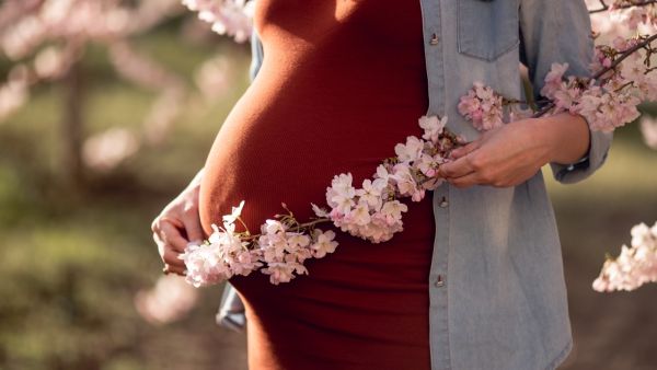 هل يؤثر اللوز الأخضر على الحامل؟