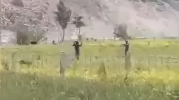 Viral video of "Captured US pilot" in Iran sparks controversy 