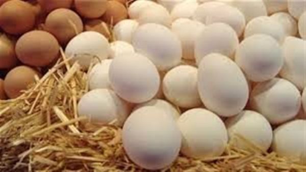 تفسير حلم بيض الدجاج في العش للمتزوجه