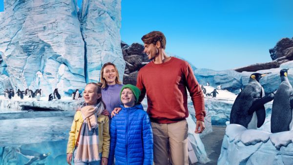 Yas Island Announces 4-Day Flash Sale with 25% Off All Yas Annual Passes