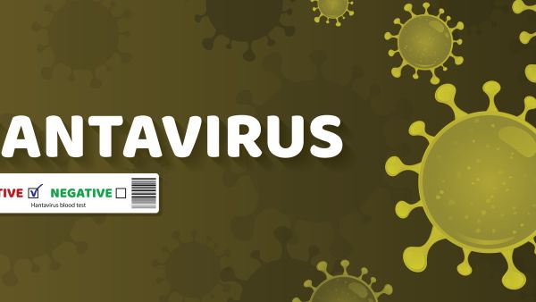 hantavirus 