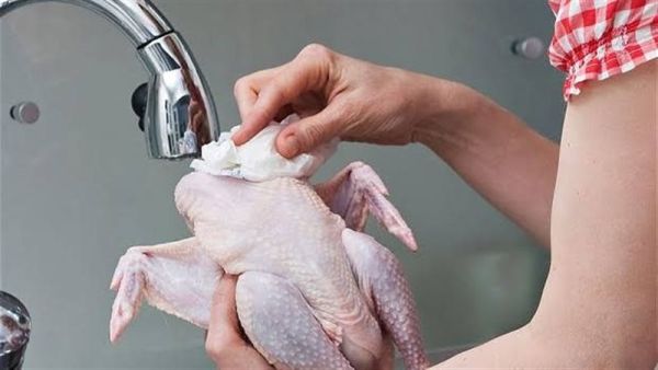 تفسير حلم الدجاج النيء في المنام لابن سيرين