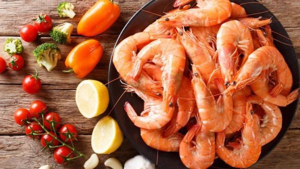 تفسير رؤية الجمبري في المنام