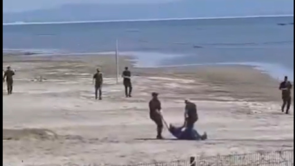 "Israeli forces beat coastal defenders": Trump-Kushner resort triggers outrage in Albania