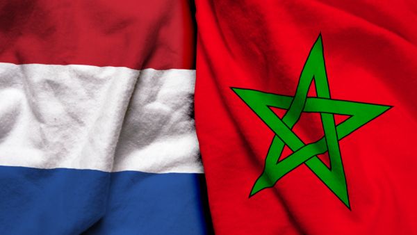 معلق مباراة هولندا والمغرب في كأس العالم 2026