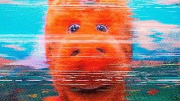 فيلم Buddy