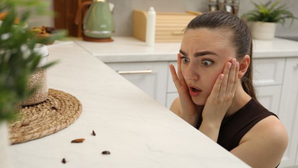 أسباب انتشار الصراصير في الصيف، وأفضل الطرق للقضاء عليها