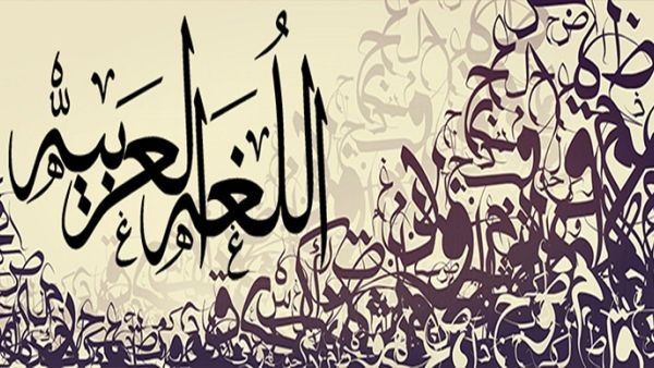 ميار الببلاوي حامل