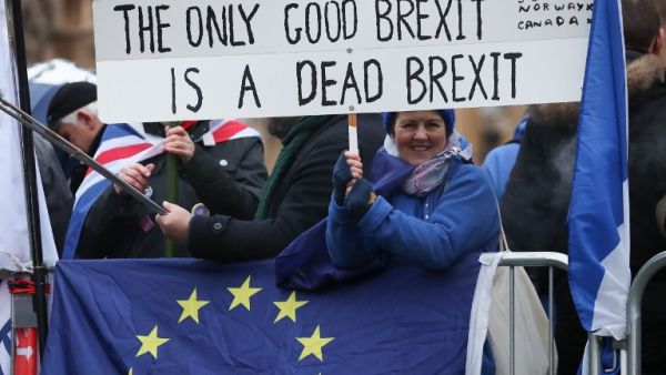 An anti-Brexit protester is seen outside the Houses of Parliament in central London on January 15, 2019. (AFP)
