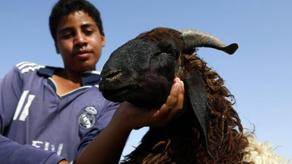Muslim activists have sparked debate across the region by calling for an end to the killing. (AFP)