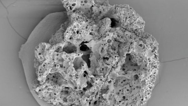 Charred Bread Baked about 14,500 Years Ago in Discovered in Jordan (Twitter)