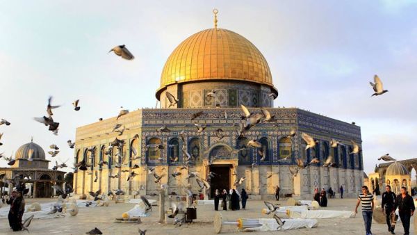 موغريني إن "تطبيق حل الدولتين هو الطريق الوحيد لإحلال السلام في المنطقة