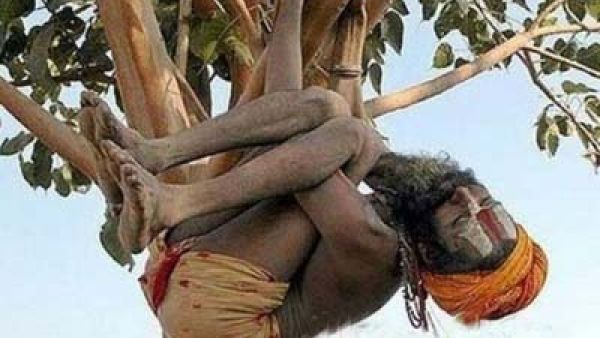 حشد من الهندوس يقتل مسلما هنديا لذبحه بقرة!
