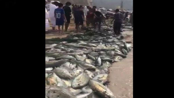 إعصار ميكونو
