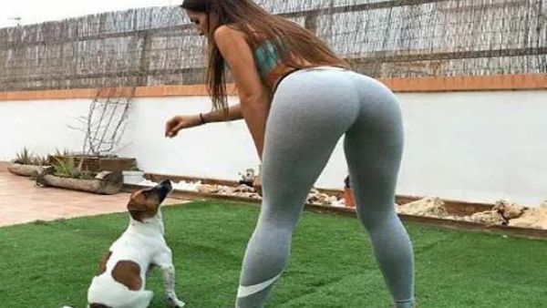 إطعام الكلب