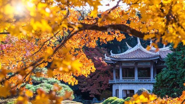 But although the elderly employee wasn't collecting money from the guests, he was still issuing them tickets (Shutterstock)