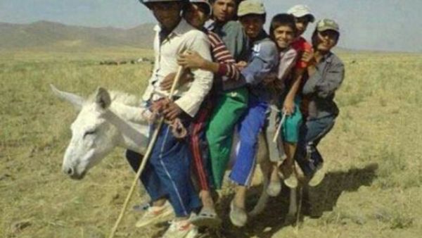 تعالوا معانا اذا بدكم