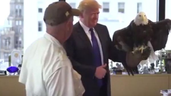 لماذا زعل النسر من ترامب؟