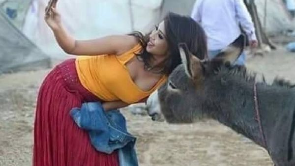 بحبك يا حمار