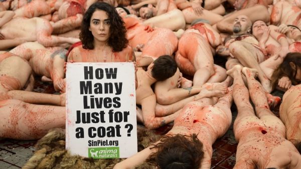 A demonstrator holds a sign as animal rights activists covered in red paint symbolising blood lie naked during a protest against the fur industry in Barcelona on December 16, 2018. 
LLUIS GENE / AFP